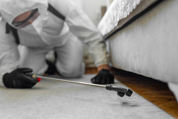 Professional Termite Control technician working in Surfside, FL