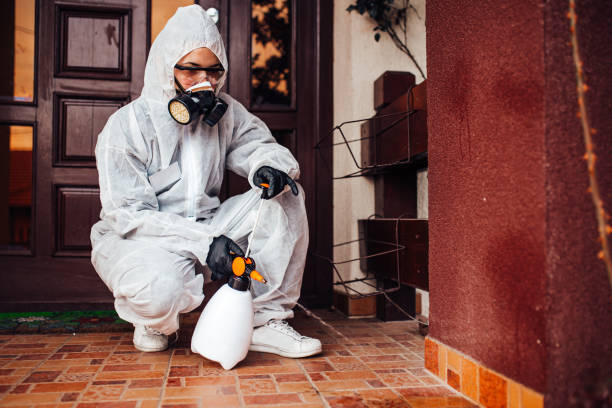 Reliable Termite Control contractor in Surfside, FL by Nex Pest Control